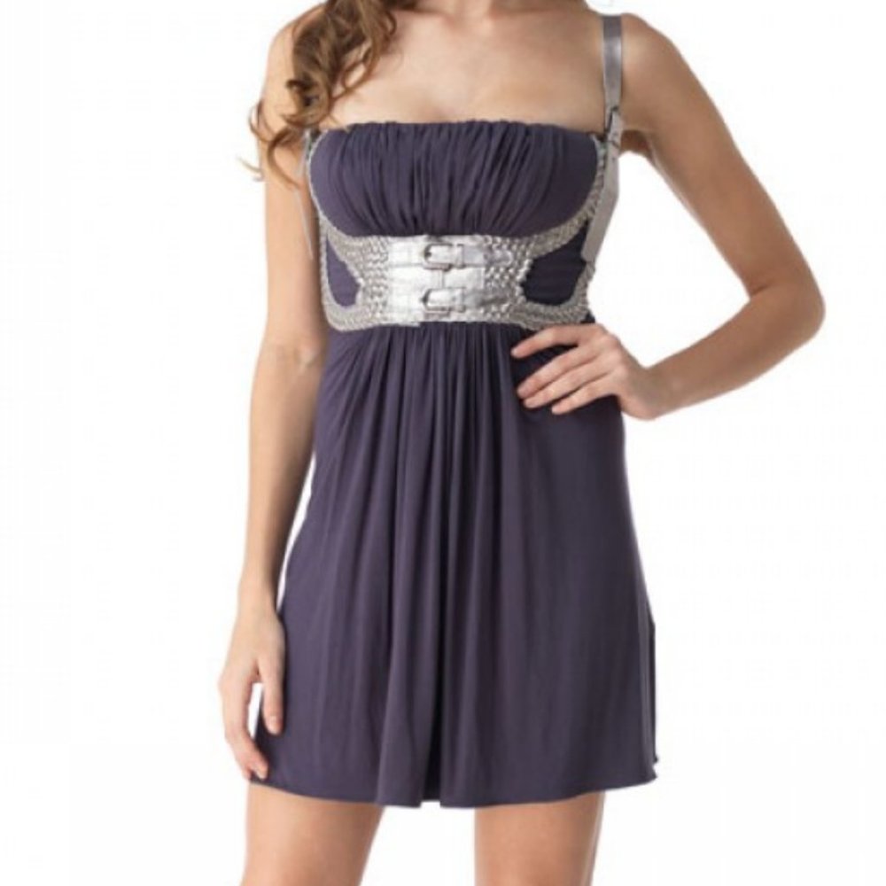 SKY Brand Gilded Dress